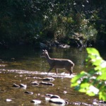 image04